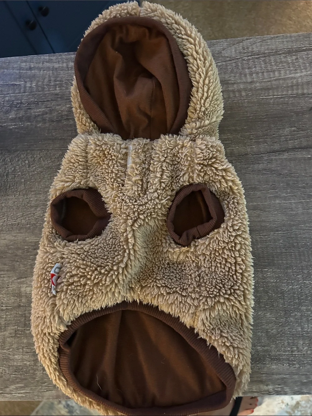 Warm Bear Coat for Pups